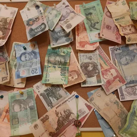 Train Station Hostel Pisa